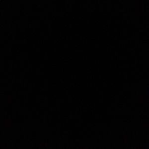 Meet your Posher, Maya