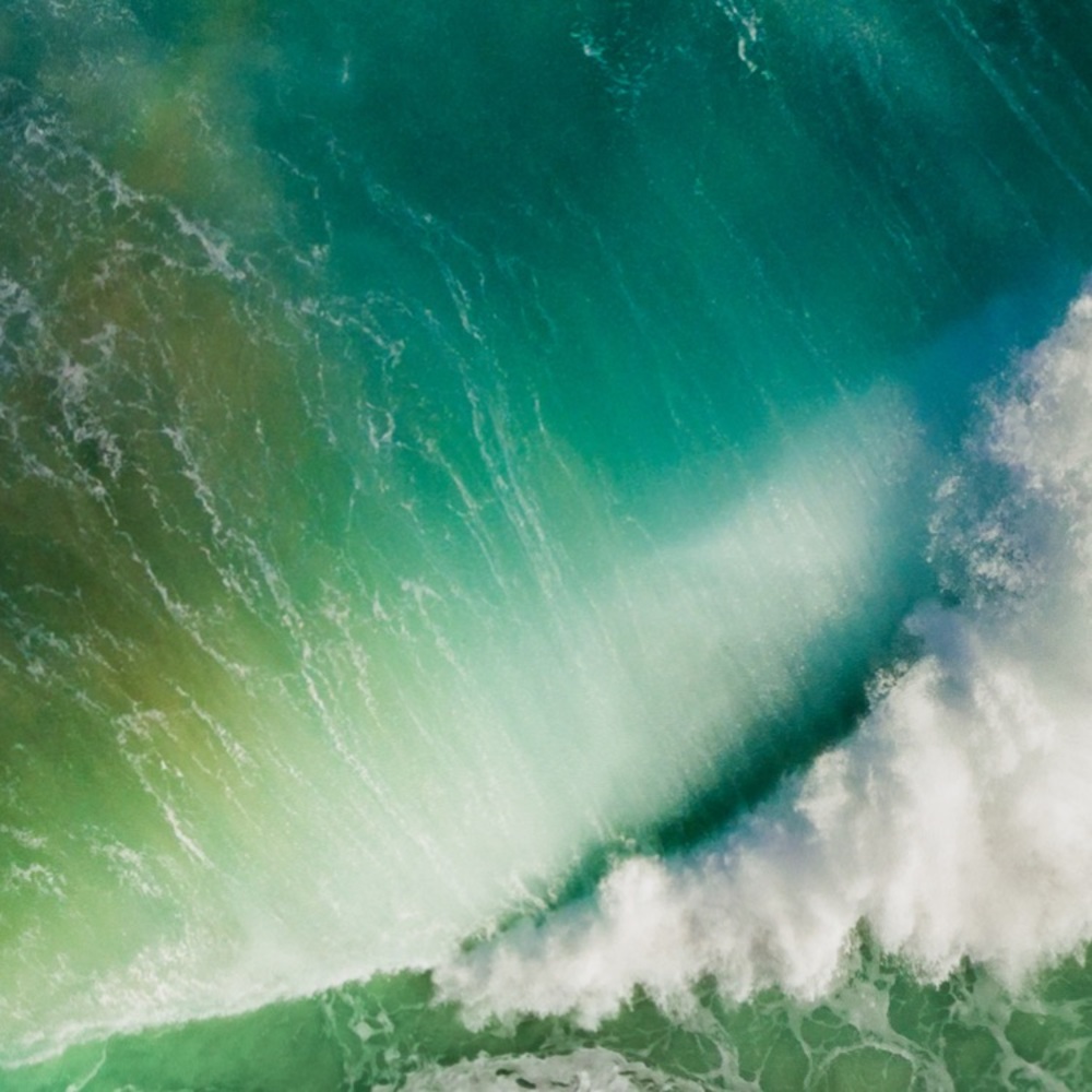 Meet your Posher, Dylan