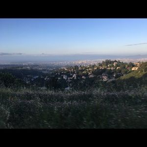 Meet your Posher, Antonio