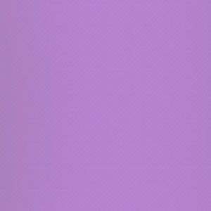 Meet your Posher, Reyhana