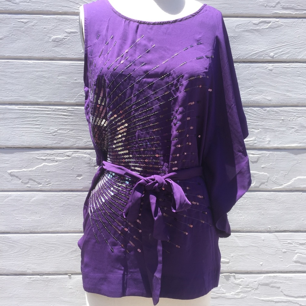 Asymmetric Plum Top with Sequins