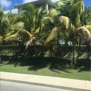 Meet your Posher, Kalli