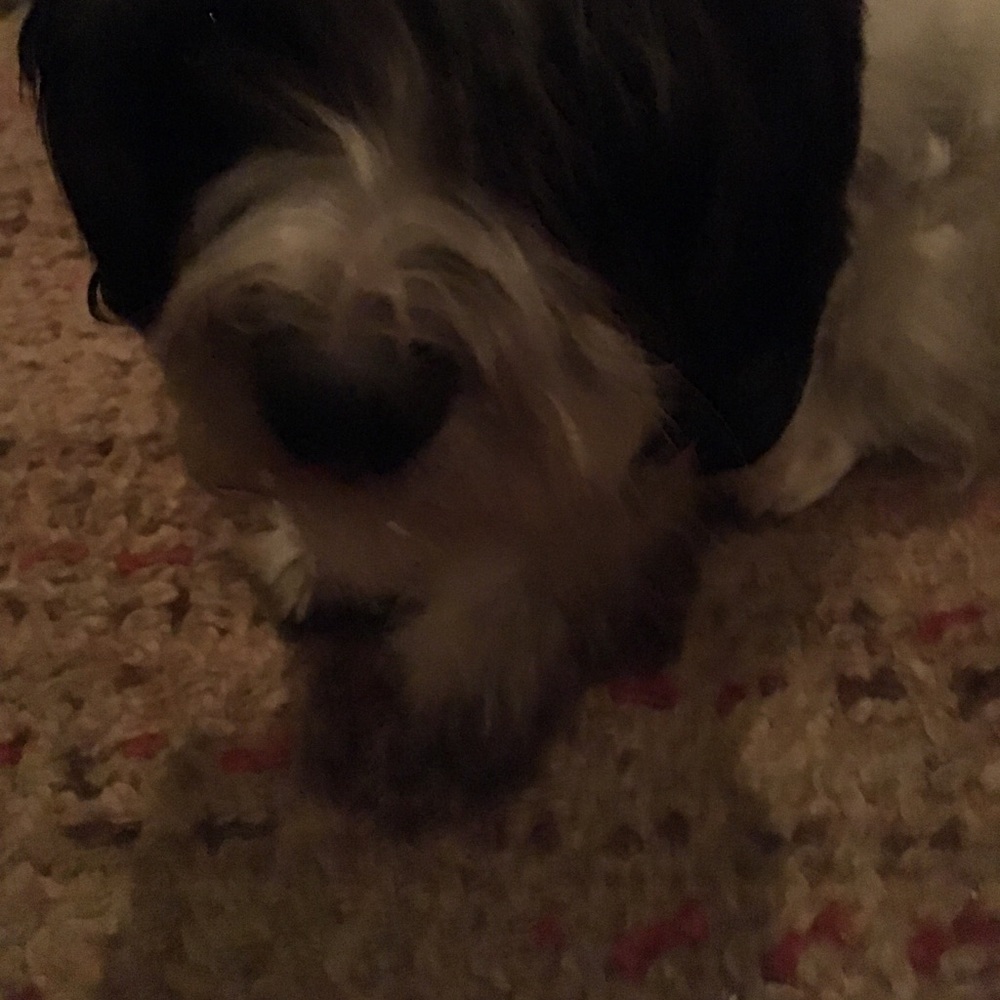 Meet your Posher, Cassie