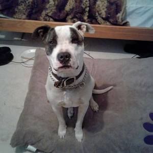 Meet your Posher, Wayne