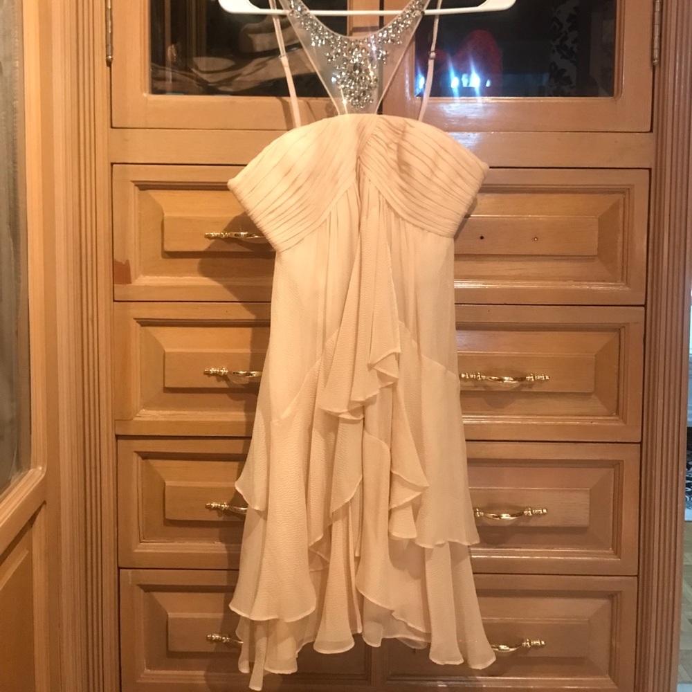 BCBG dress