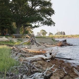 Meet your Posher, Corey