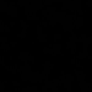 Meet your Posher, Dylan