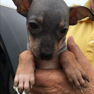 Meet your Posher, Kaylie