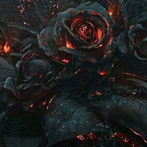 Meet your Posher, Latoya