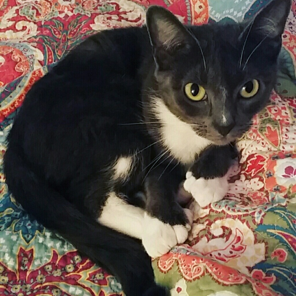 Meet your Posher, Danyell