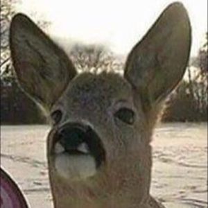 Meet your Posher, Brianna