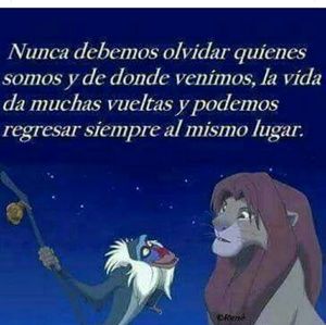 Meet your Posher, Rosenda