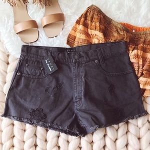 ᴛʜᴇ ᴋᴏᴏᴘʟᴇs ᴅᴇɴɪᴍ sʜᴏʀᴛs