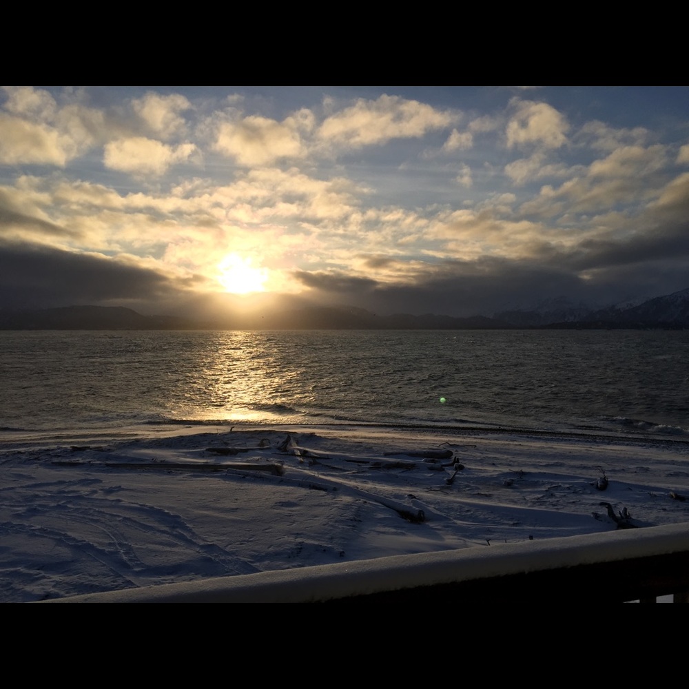 Meet your Posher, Shalom