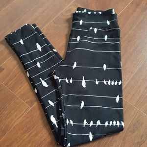 Lularoe leggings