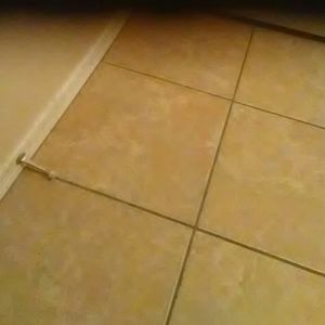 Meet your Posher, Maggie