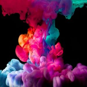 Meet your Posher, Rosalyn