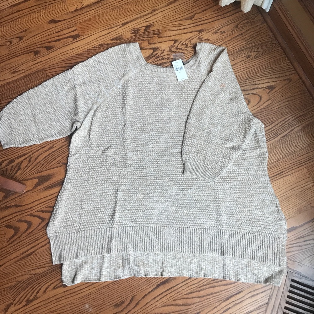 Lane Bryant Raglan Sleeve Sweater