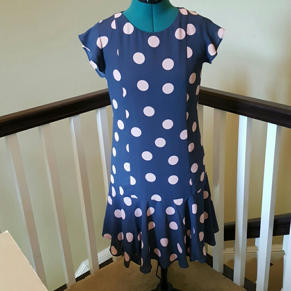 LOFT Ann Taylor Blue Pink Polka Dot Dress