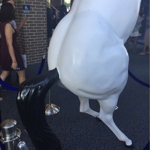 Meet your Posher, Saarah