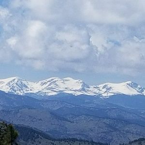 Meet your Posher, Rosalind