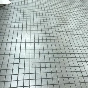 Meet your Posher, Rosa