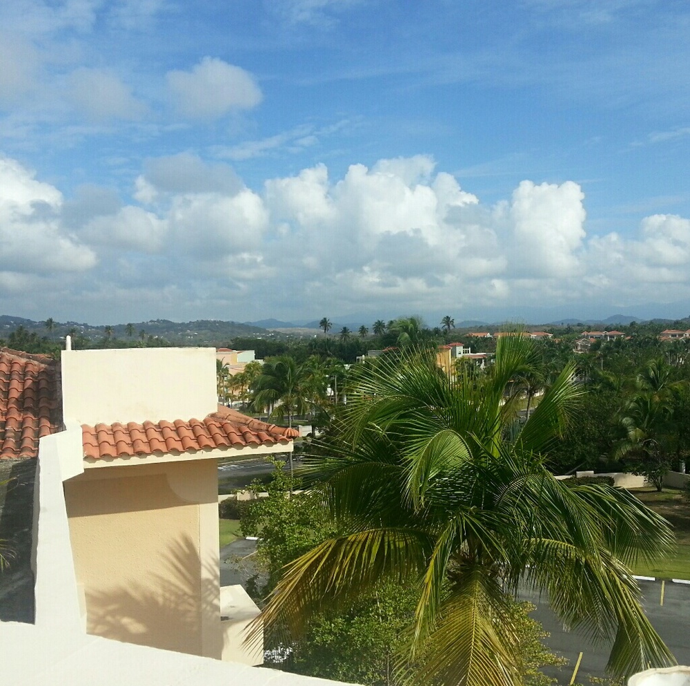 Meet your Posher, Laurie