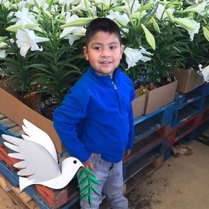 Meet your Posher, Luis