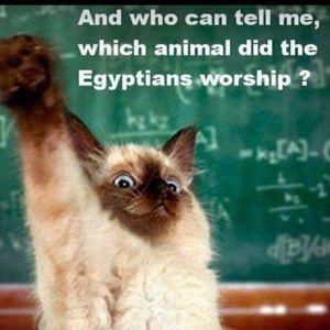 Meet your Posher, Jay