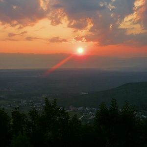 Meet your Posher, Bee