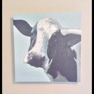 Kirklands cow canvas