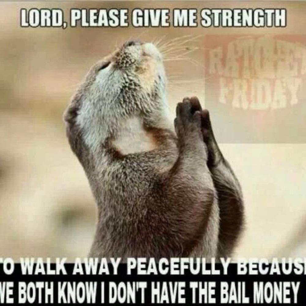 Meet your Posher, Ángel