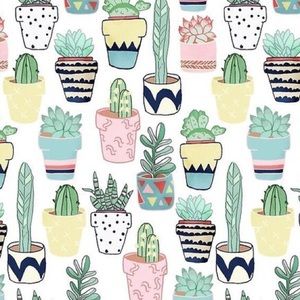 Meet your Posher, Kami