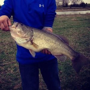 Meet your Posher, Kolton