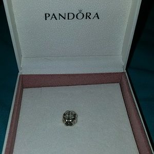 Pandora Charm