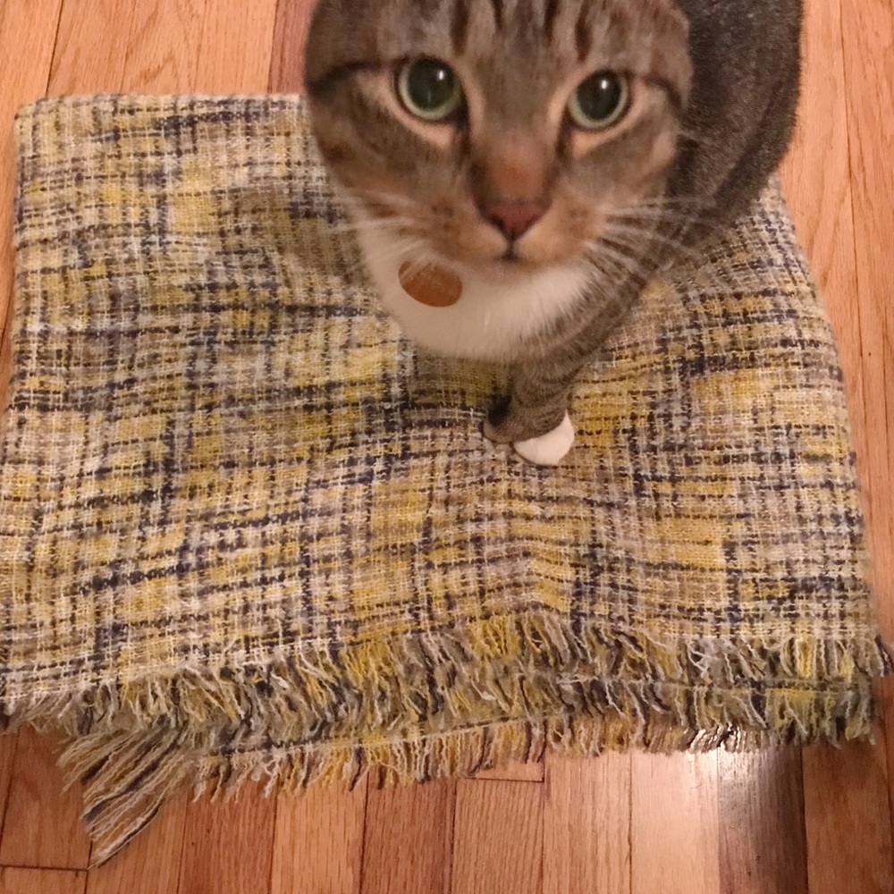 Blanket scarf. *cute cat not for sale*