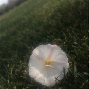 Meet your Posher, Caitlin