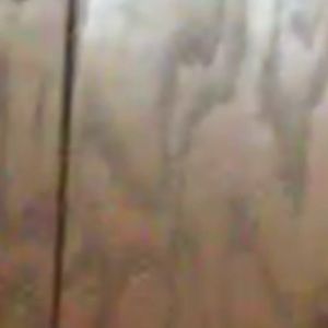 Meet your Posher, Mackenzie