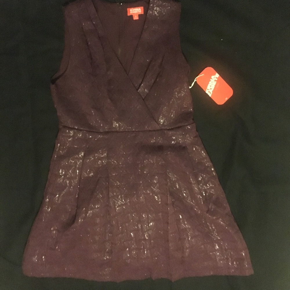 NWT Kirna Zabete for Target Shiny Plum Dress