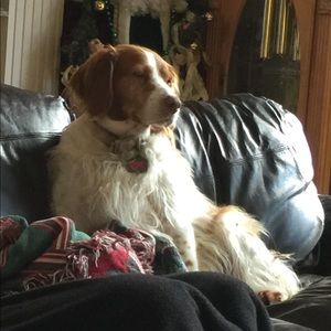 Meet your Posher, Cheryl