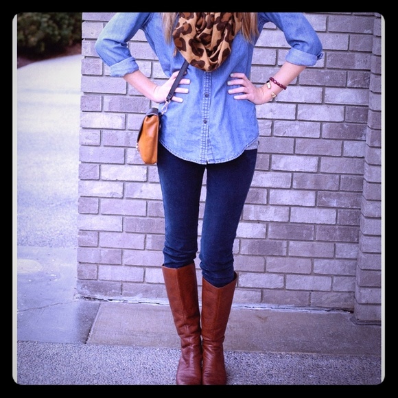 Meet your Posher, Kimber - Picture 2 of 2