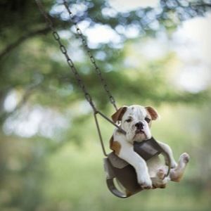 Meet your Posher, Patti