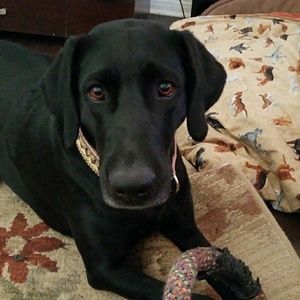 Meet your Posher, Tonya