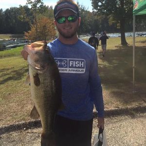 Meet your Posher, Bradley