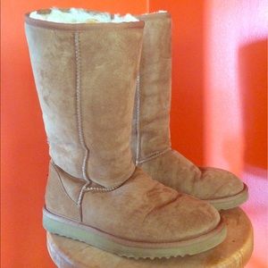 Classic Tall Chestnut Uggs
