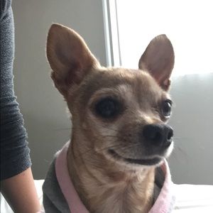 Meet your Posher, Jasmine