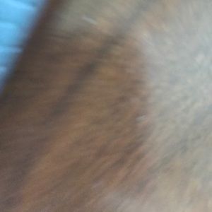 Meet your Posher, Jackie