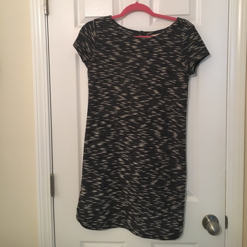 Ann Taylor The Loft Knit Dress