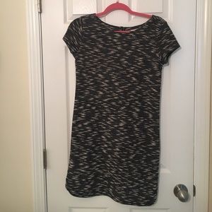 Ann Taylor The Loft Knit Dress
