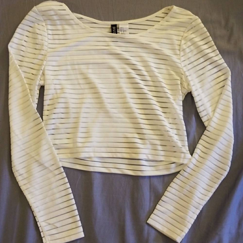 Striped Translucent Crop Top